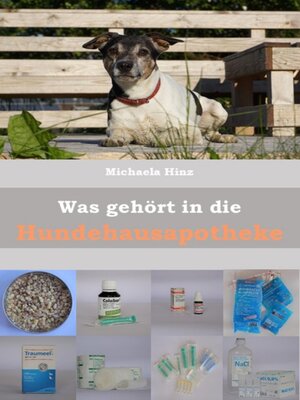 cover image of Was gehört in die Hundehausaportheke